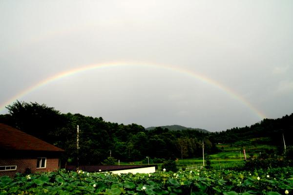 d7dd42d53c70968ed759cee268e14a24.jpg